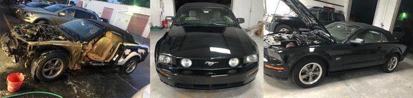 Beautiful Mustang Repaired