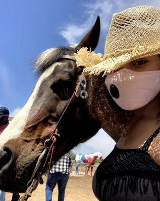 One of the beautiful horses that are available for leading people on the tour! It was so sweet and well behaved!