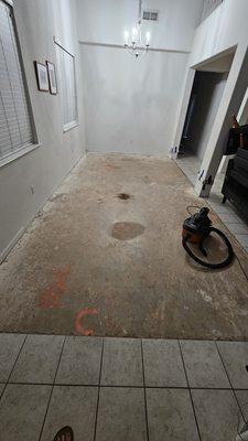 Preparing floor for laminate floor installation.