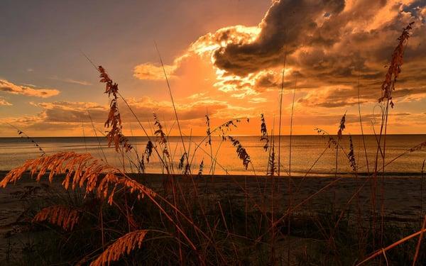 Beach scene at 1232 North Casey Key Road