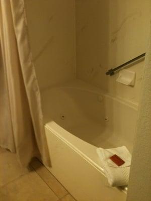 Small jetted bath tub