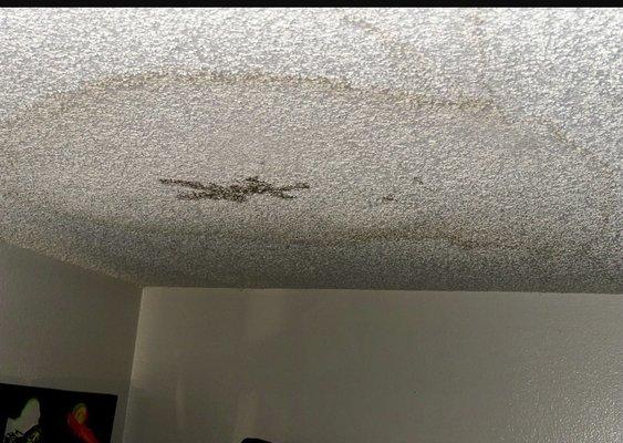 Moisture / mold in bedroom never addressed in over 6 months of living there