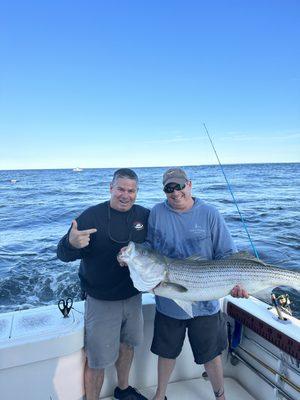 Huge striped bass off Merrimack   River