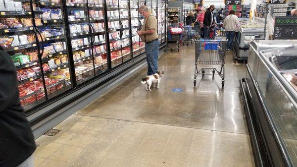 Inconsiderate old man walking his dog in my grocery store