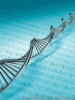 DNA Testing Services Of Chicago