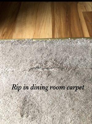 This was pushed down & unnoticeable during walk through. He offered to replace this  dining room carpet w/laminate if tenants would pay half