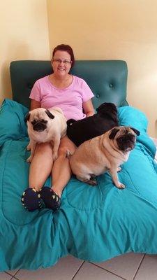 My wife and her pugs