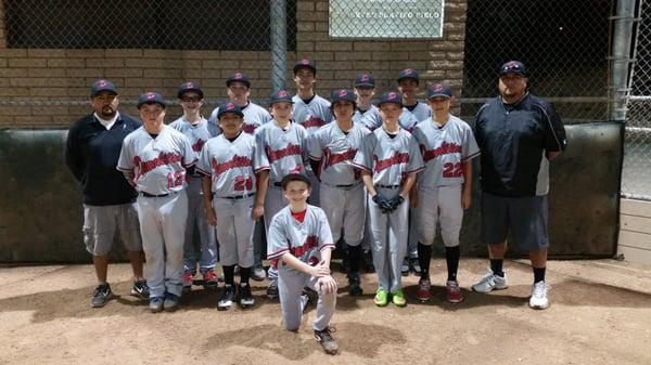 2015 14U Demolition Baseball Team.