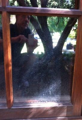 Before:
Calcium + magnesium + faulty sprinkler head = Stage 2 water damage to glass. If youre a glass cleaner reading this call