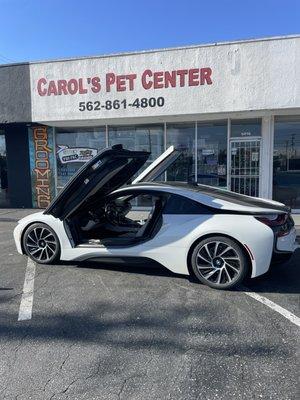 Carol's Pet Center