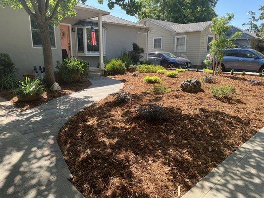 Front yard landscape & irrigation