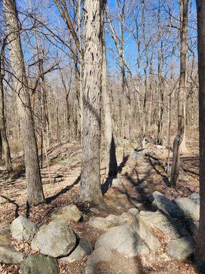 Trail views