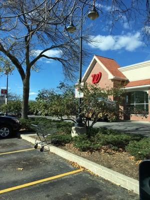 Front of Walgreens corner of Lake & Glenview Rd