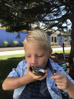 My four year old LOVING raw Wellfleet oysters!