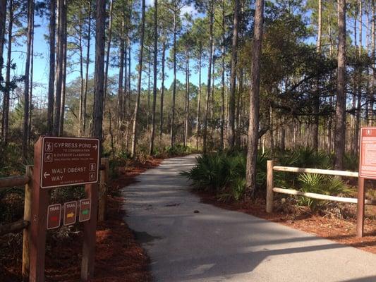 Enjoy the day cycling through Conservation Park.