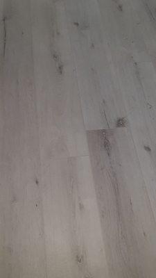 White Beach Wood Laminate. 100% Waterproof and 100% Beautiful