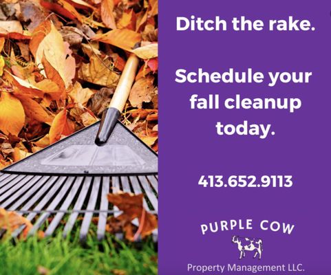 Purple Cow Property Management