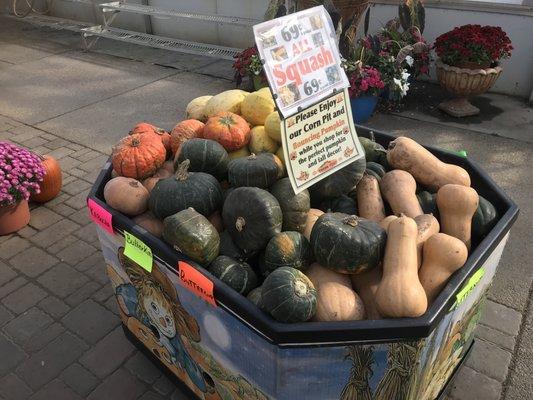 Fresh produce including squash potatoes, peppers, tomatoes and more.