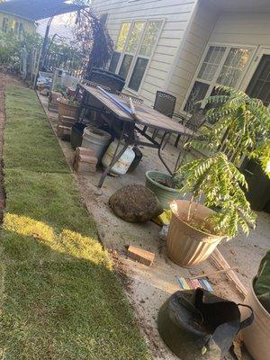 Sod installation