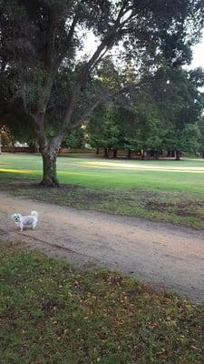 Our morning walk at 6:35am