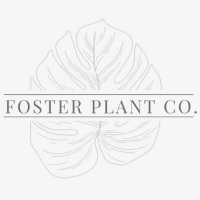 "We foster plants until they find their forever home."