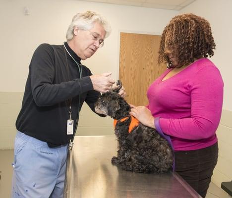 Eliis gets his ears treated by his veterinarian thanks to the Veterinary Payment Program at One Health Organization.