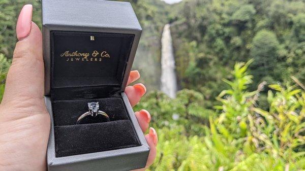 Engagement ring from Anthony & Co. Pear-shaped white sapphire gemstone + white gold band. Proposal at Akaka Falls, Hawaii.