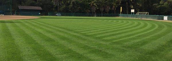 Field Maintenance and Services for Natural Turf.