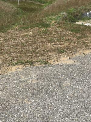 2nd Bio- retention area. Unfinished sidewalk near it. Nasty, dirty standing water. No safety barrier and there are kids here