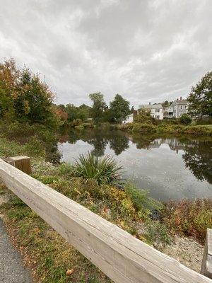 The Picture Perfect New England Fall Foliage with Wildlife in the water @ Jenney Pond Park in Plymouth MA. Fall of 2020