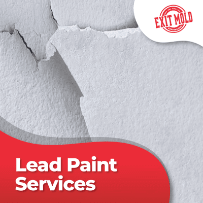 Lead paint Services NYC - Exit Mold