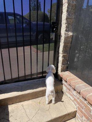 Repaired existing gate to keep our puppy safe.