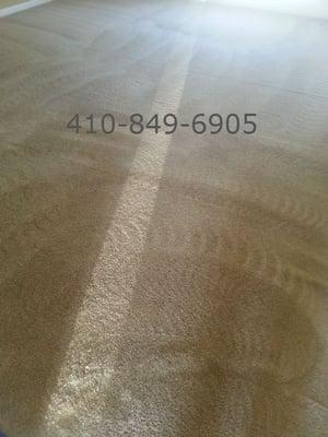 Carpet - After Carpet Cleaning