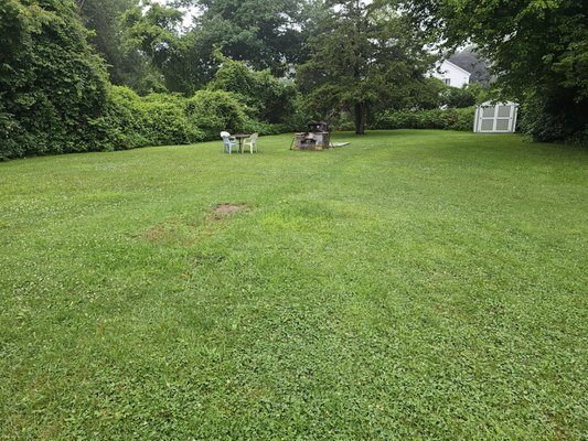 Backyard cottage #3