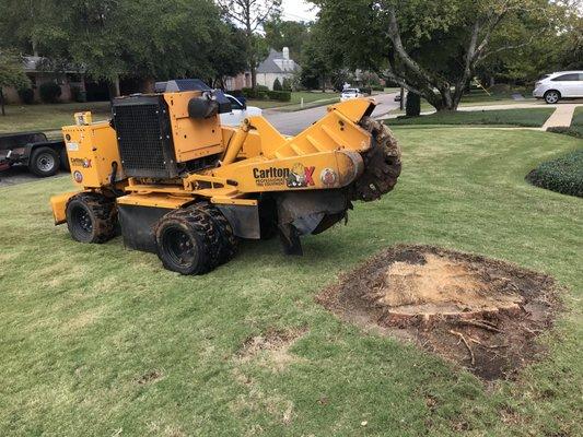 Stump Removal in Wetumpka