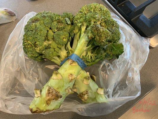 $5.11 broccoli.