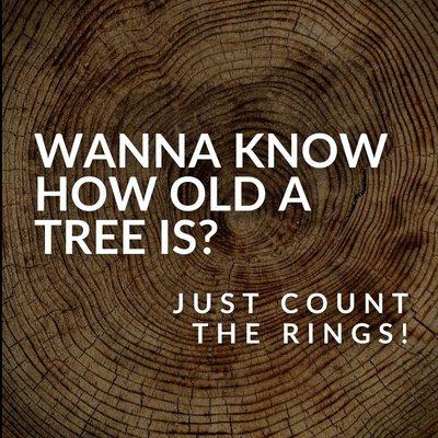 Just because a tree has a lot of rings doesn't mean it's sturdy or safe to be near your house. If a tree - no matter how big or how old - is