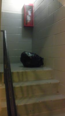 Dirty stairways with trash laying in the hallways ..