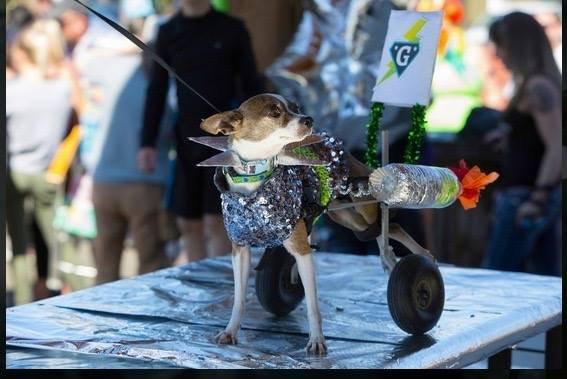 We celebrate the successes of our patients -- like Gilbert and his cart winning best Alien costume at McMinville's UFO Festival.