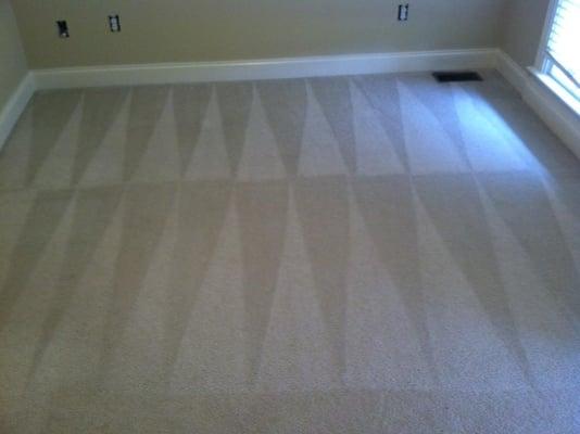 M & W Carpet Cleaning