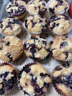 Fresh Blueberry Muffins