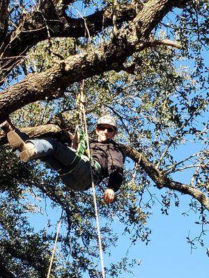 Life and Knowledge Tree Maintenance