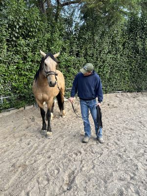 Hollister with Zeus, his first time walking on lead