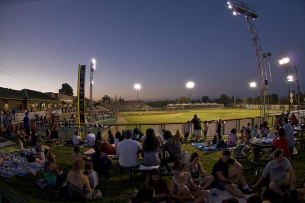 View of the stadium from the pasture seats located in right field!