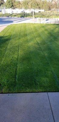 Sod Installations