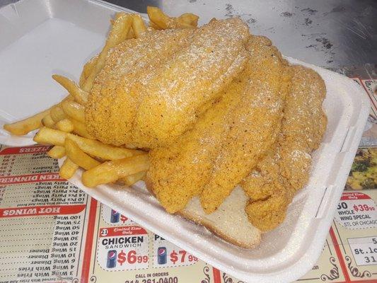 Catfish Filet