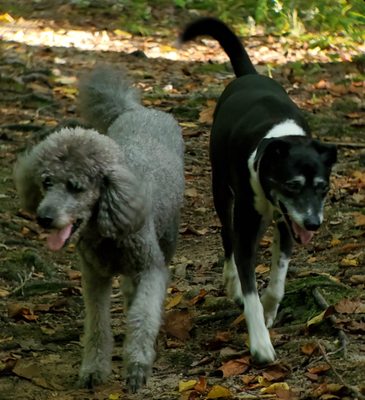 Bella and Lucy