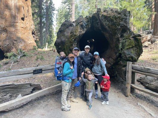 Family day at Kings Canyon!