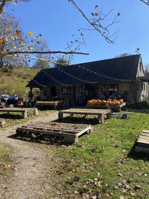 Cute and bucolic store.