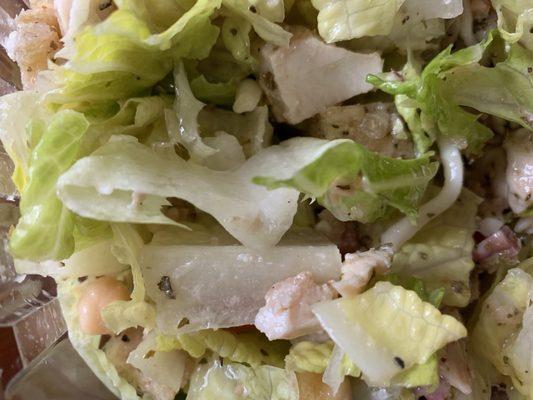 Close up of lack of color in lettuce